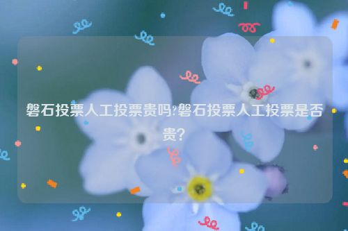 磐石投票人工投票贵吗?磐石投票人工投票是否贵？