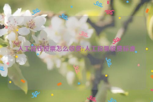 人工花钱投票怎么收费?人工投票收费标准